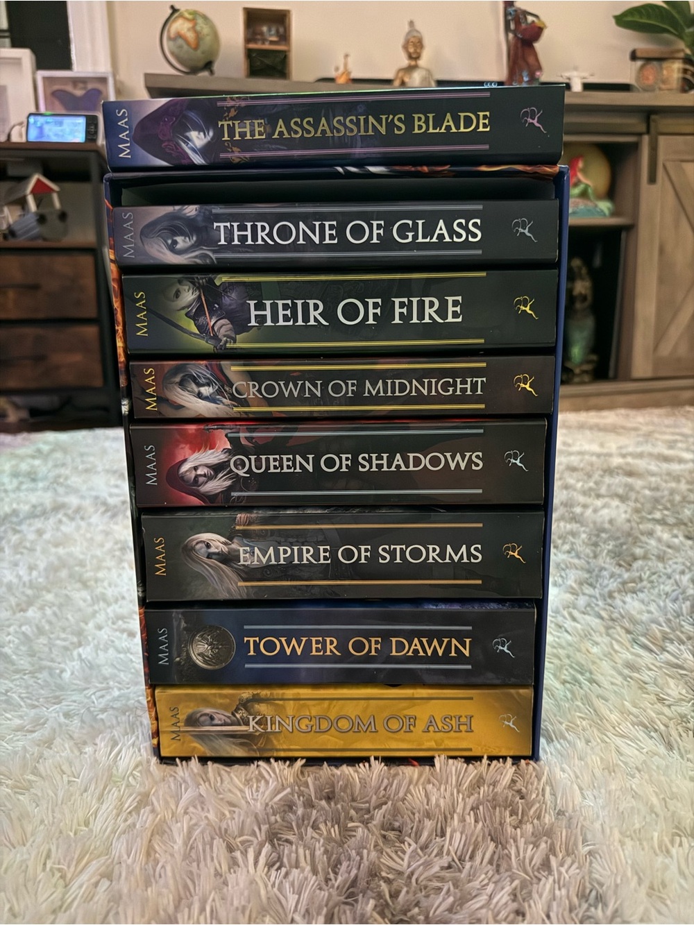 Throne of Glass original series by Sarah J Maas.